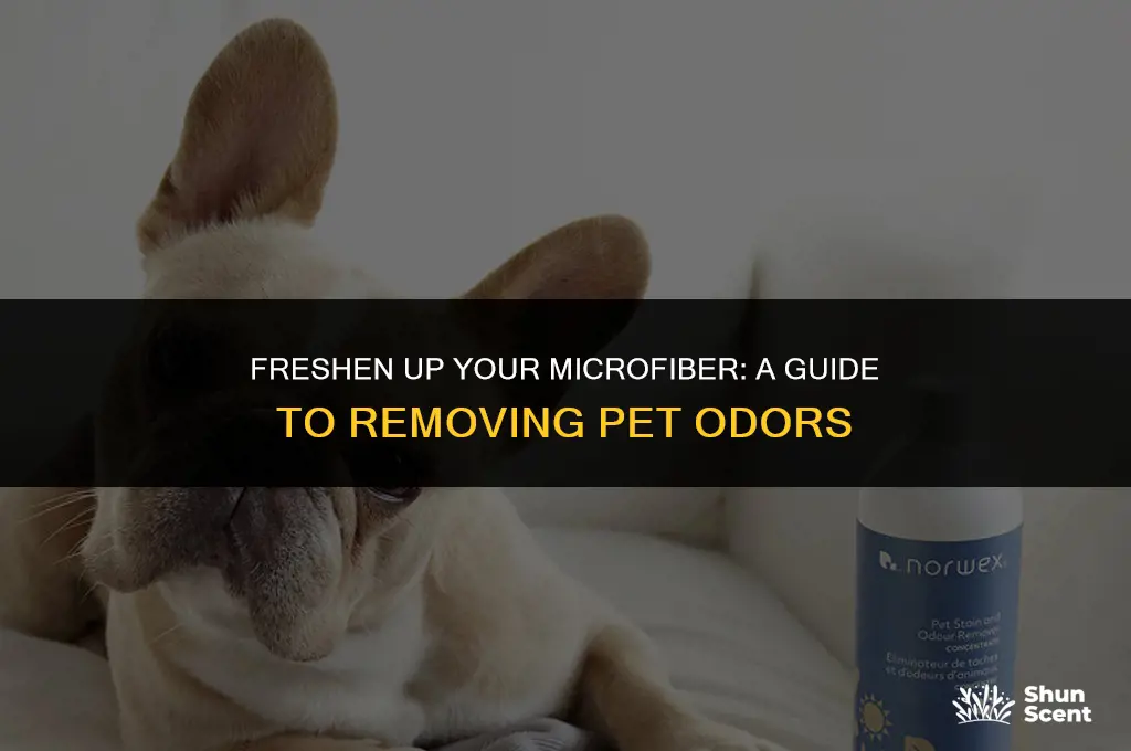 how to get pet odor out of microfiber furniture