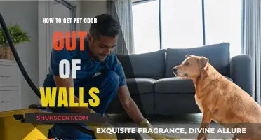 Freshen Up Your Home: Removing Pet Odors from Walls Effectively