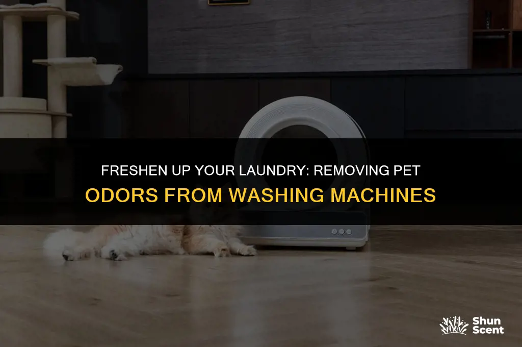 how to get pet odor out of washing machine