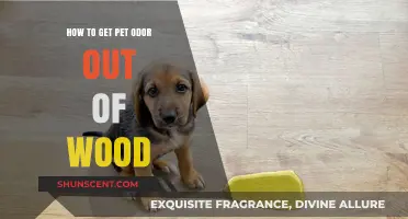 Eliminating Pet Odors from Wood: A Comprehensive Guide