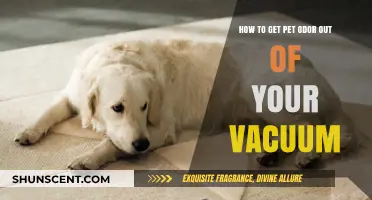 Freshen Up Your Vacuum: A Guide to Removing Pet Odors