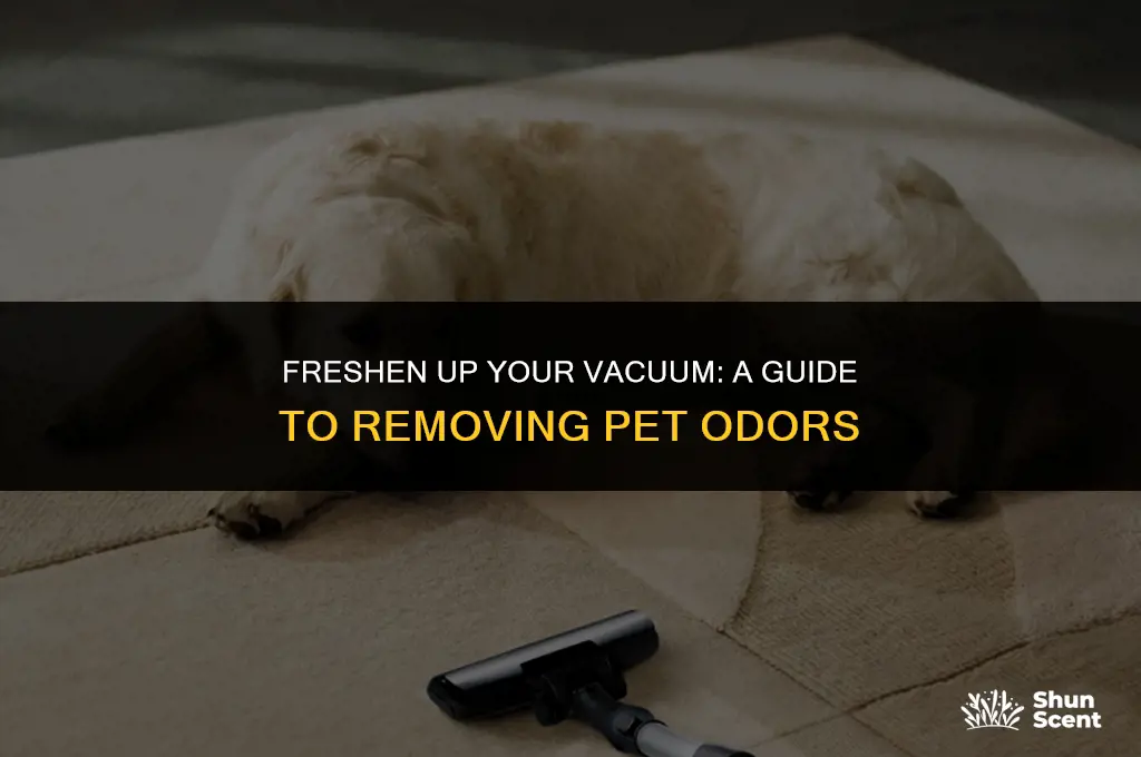 how to get pet odor out of your vacuum
