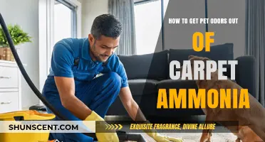 Freshen Up Your Home: Effective Ways to Remove Pet Odors and Ammonia from Carpets
