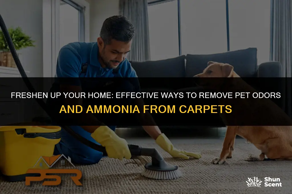 how to get pet odors out of carpet ammonia