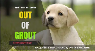 Freshen Your Grout: Effective Tips to Eliminate Pet Odors