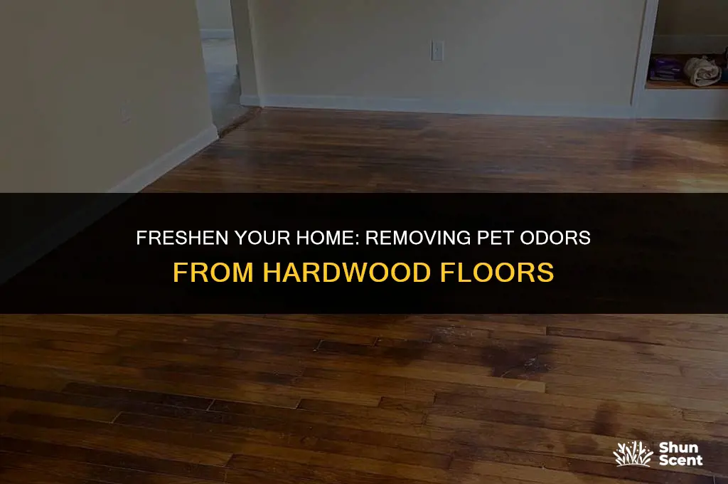 how to get pet odors out of hardwood floors