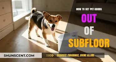 Eliminate Pet Odors from Subfloors: A Comprehensive Guide