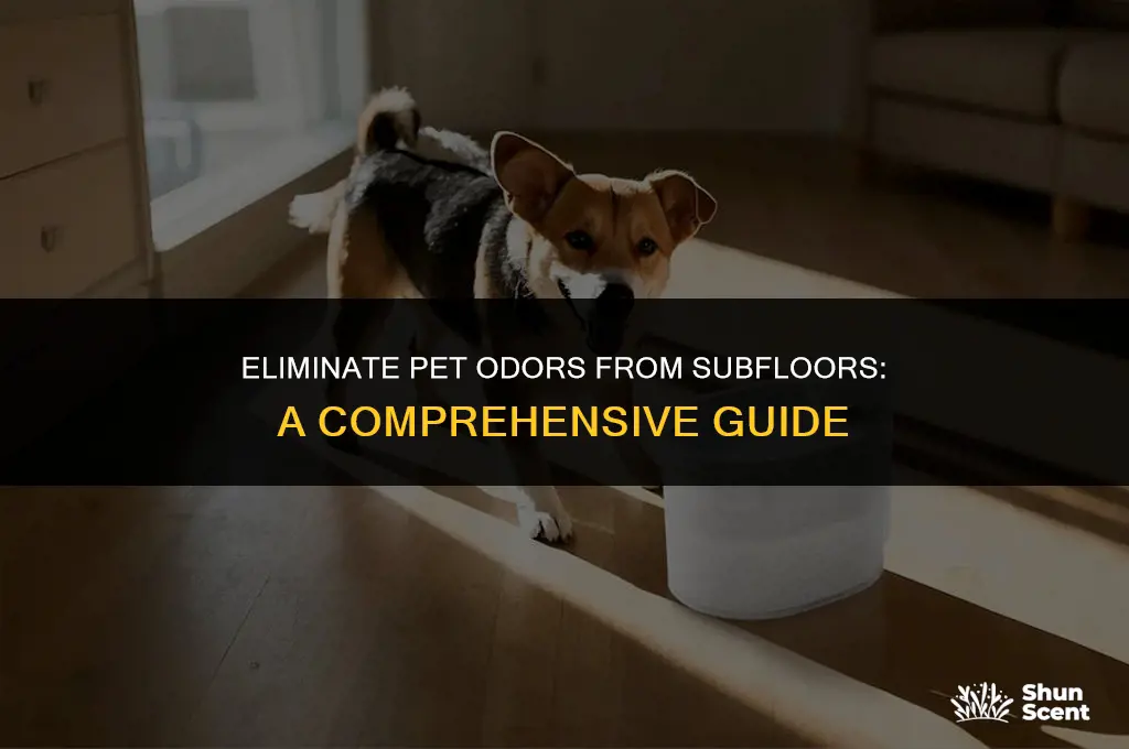 how to get pet odors out of subfloor