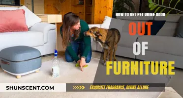 Eliminating Pet Urine Odor from Furniture: A Comprehensive Guide