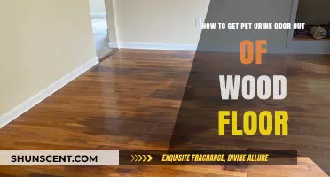 Eliminating Pet Urine Odor from Wood Floors: A Comprehensive Guide