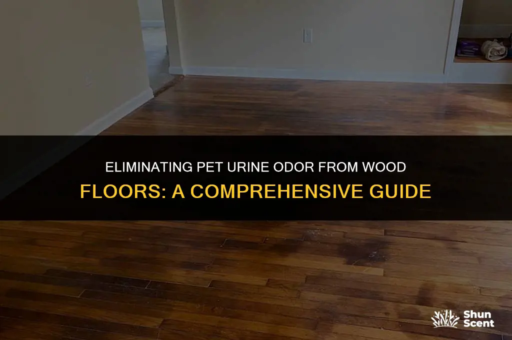 how to get pet urine odor out of wood floor