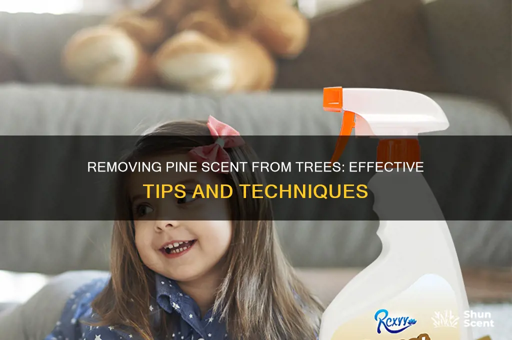 how to get pine scent off of tree