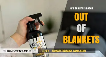 Freshen Up Your Bedding: Removing Urine Odor from Blankets
