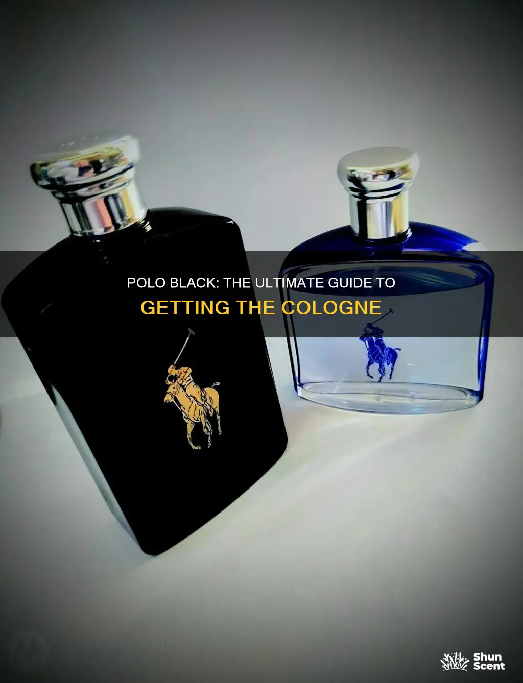 how to get polo black cologne