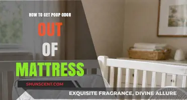 Freshen Up Your Sleep: Removing Poop Odor from Mattresses