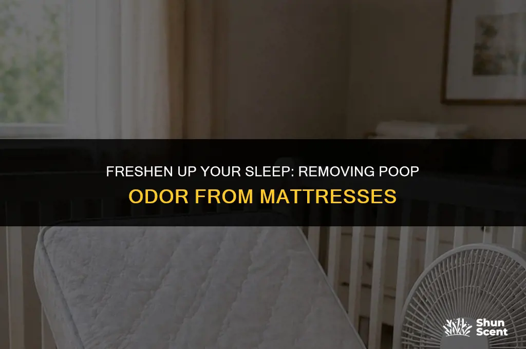 how to get poop odor out of mattress