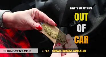 Freshen Up Your Ride: Effective Tips to Eliminate Pot Odor from Your Car