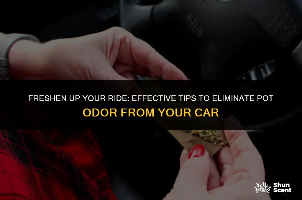 how to get pot odor out of car