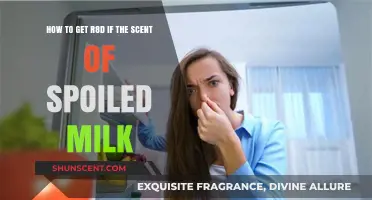 Quick Fixes: Eliminating Spoiled Milk Smell from Your Fridge