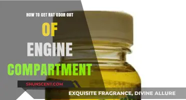 Eliminating Pesky Rodent Odors from Your Car's Engine Compartment