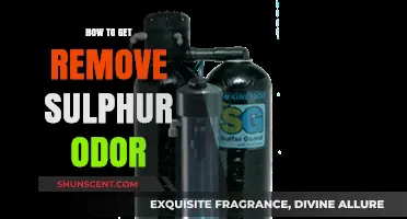 Eliminate Sulfur Odor: Effective Solutions for a Fresh Environment