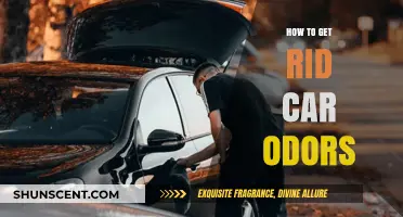 Freshen Up Your Ride: Effective Tips to Eliminate Car Odors