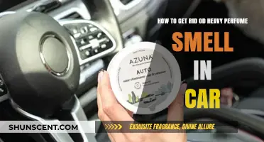 Eliminating Strong Perfume Scents from Your Car