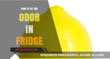 Freshen Up Your Fridge: A Guide to Eliminating Odors