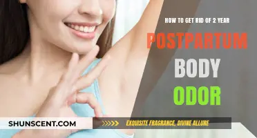 Fresh Start: Overcoming Postpartum Body Odor Naturally