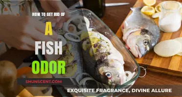 Freshen Up Your Kitchen: Effective Ways to Eliminate Fish Odor