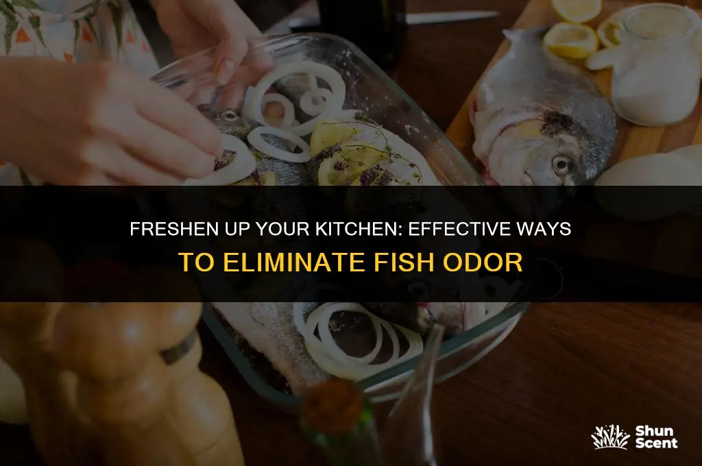 how to get rid of a fish odor