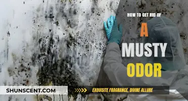 Freshen Up: Effective Ways to Eliminate Musty Odors