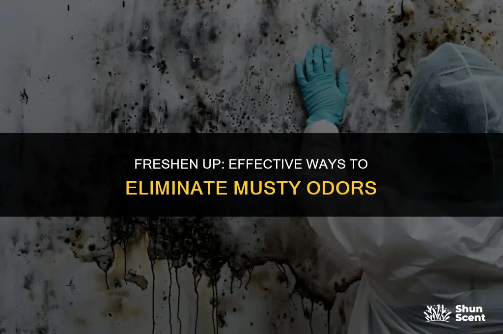 how to get rid of a musty odor