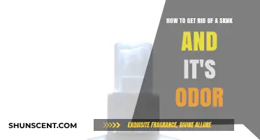 Effective Ways to Eliminate Skunk Odor and Prevent Future Encounters