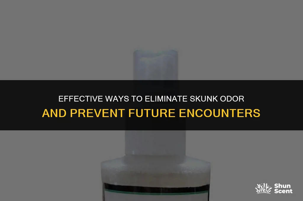 how to get rid of a sknk and it