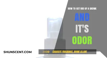 Effective Ways to Remove Skunks and Their Lingering Odor