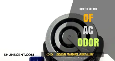 Freshen Up Your Ride: A Guide to Eliminating AC Odors
