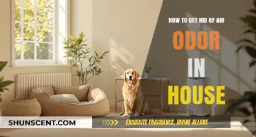 Freshen Your Home: Effective Ways to Eliminate Air Odors