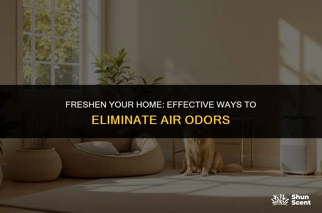 how to get rid of air odor in house