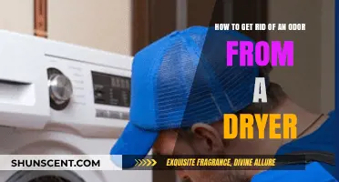 Freshen Up Your Laundry: Eliminating Odors from Your Dryer