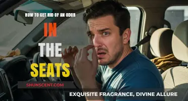 Freshen Up Your Ride: Eliminating Odors from Car Seats