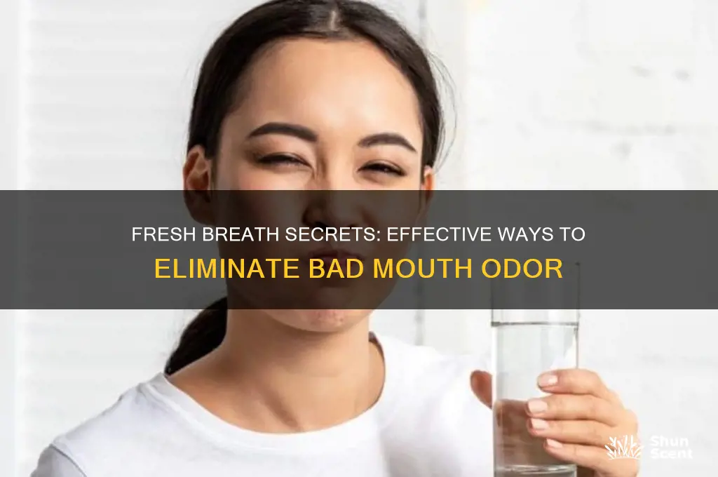 how to get rid of bad mouth scent