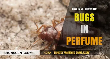 Perfume Power: Killing Bed Bugs