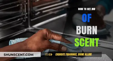 Effective Ways to Eliminate Lingering Burn Smells from Your Home