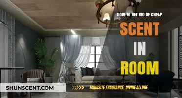 Eliminate Lingering Cheap Scents: Freshen Your Room Effectively and Naturally