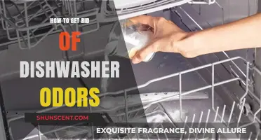 Freshen Up Your Kitchen: A Guide to Eliminating Dishwasher Odors