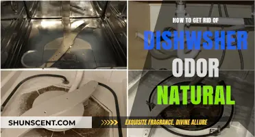 Freshen Your Dishwasher Naturally: A Guide to Odor Elimination