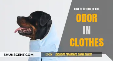Freshen Up Your Wardrobe: Removing Dog Odor from Clothes