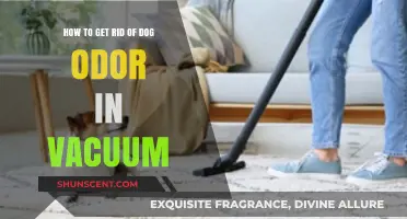 Freshen Up Your Home: Effective Tips to Eliminate Dog Odor from Your Vacuum