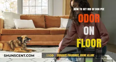 Eliminate Dog Pee Odor: A Comprehensive Guide for Fresh Floors